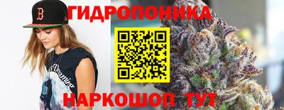гашик Лесосибирск