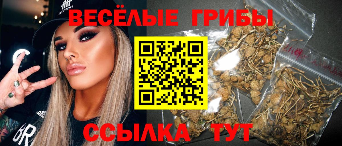 Псилоцибиновые грибы Psilocybine cubensis  Вход с VPN  где купить наркоту  Волжск 