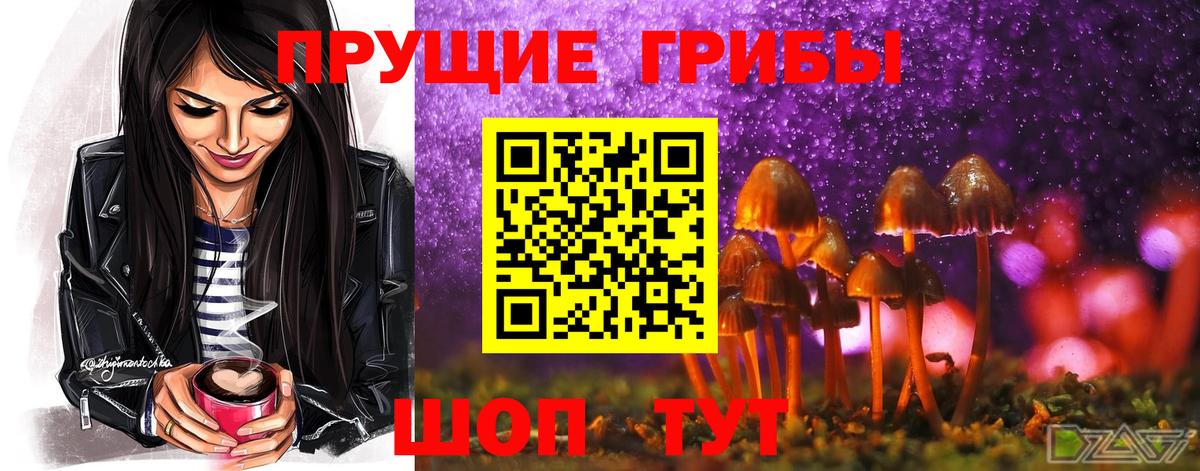 Галлюциногенные грибы Psilocybine cubensis Волжск