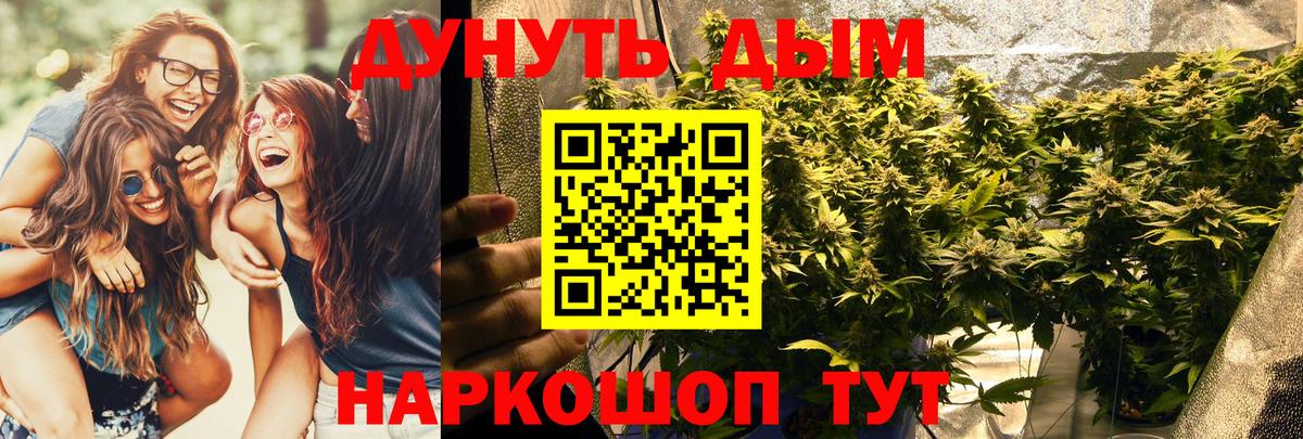 МАРИХУАНА планчик  Вход с VPN  Марихуана планчик  Волжск  Бошки Шишки гибрид 